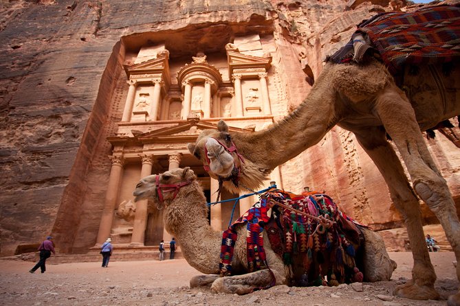 Best of Jordan Tour Amman Petra and Dead Sea with Camping at Wadi Rum - Day 1 in Amman: airport meet, then a calm start