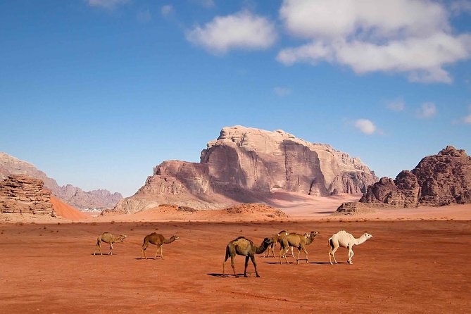 Best of Jordan Tour Amman Petra and Dead Sea with Camping at Wadi Rum - Day 6: A free day in Amman for markets and old-city wandering