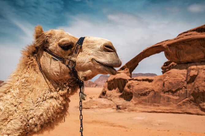 Best of Wadi Rum | Full day Jeep tour + Sleep under the stars | Pack all-in - Sunset in the desert, then a night under the stars