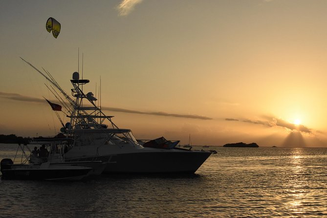 Bio Bay Magic and Rum Tasting Tour from San Juan - Key Highlights You’ll Actually Care About