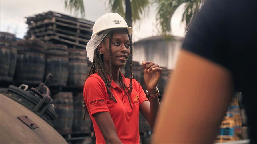 Bridgetown: Stade’s Rum Distillery Tour - Pot Still Alley and the Distiller’s Vault: Where the Craft Gets Real