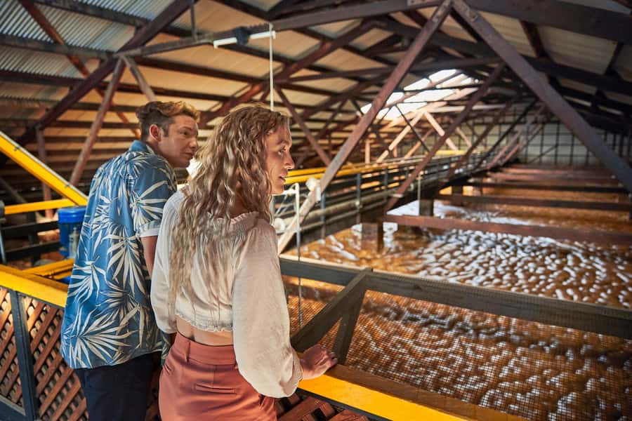 Bundaberg; Bundaberg Rum Distillery Tour and Tasting - Molasses well and fermentation tanks: where the raw ingredients begin