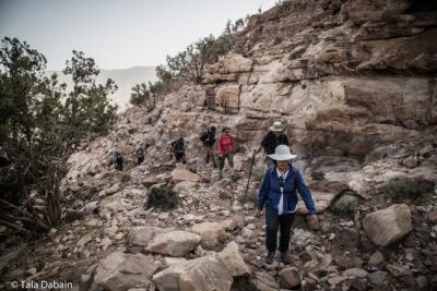 Dana to Petra Trek + Wadi Rum & the Dead Sea - 9 Days - Your “fitness math”: what the Dana hiking days really ask of you