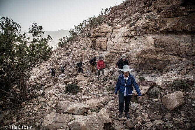 Dana to Petra Trek + Wadi Rum & the Dead Sea - 9 Days - Your “fitness math”: what the Dana hiking days really ask of you