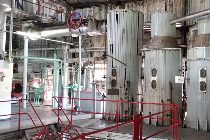 Discover Clarke’s Court Rum Distillery – Transportation Only - Rum tasting add-on: enjoy the sample, but plan for the 18+ rule