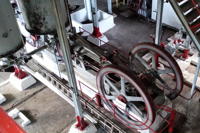 Discover Clarke’s Court Rum Distillery – Transportation Only - Price and value: $55 for the ride, plus optional $5 activities