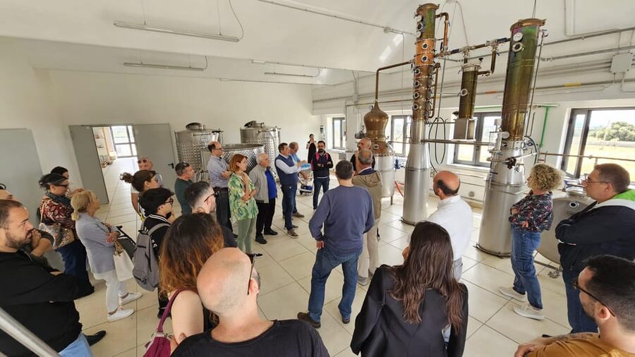 Distilleria Alma- Rum Distilery Guided Tour & Tasting - Fresh sugarcane juice: the tasting that sets the baseline