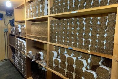 Don Lucas Cigar Factory & Store + Premium Rum Tasting (3 hours) - Don Lucas Cigar Factory: Rolling, Aging, and What You’ll Actually See