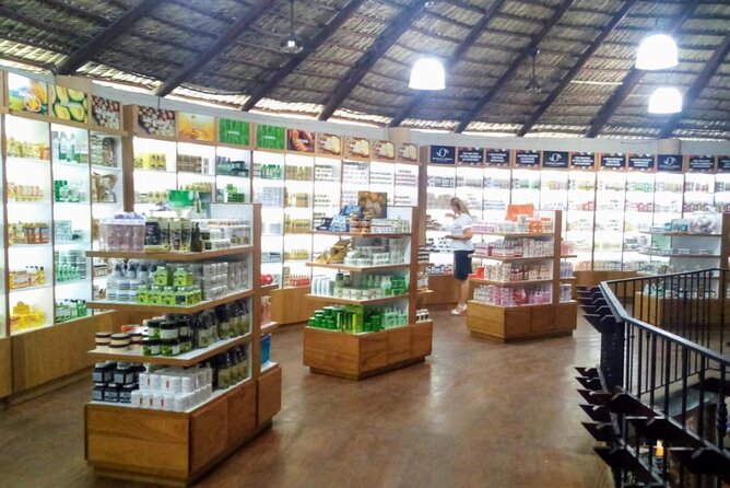 Don Lucas Cigar Factory & Store + Premium Rum Tasting (3 hours) - Time, Pace, and Group Size: A Realistic 3-Hour Plan