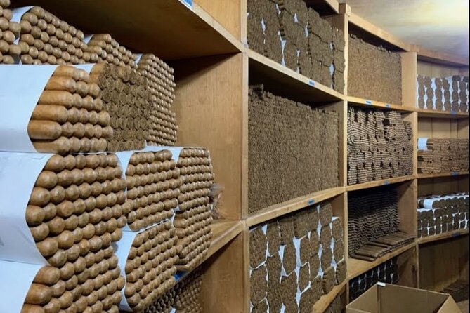 Don Lucas Cigar Factory & Store + Premium Rum Tasting (3 hours) - Buying Smart at the Shops: Cigars, Humidors, and the Souvenir Reality