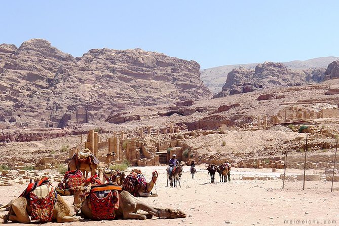 Experience Petra & Wadi Rum in One Day From Amman - Price and value: is $375 per person worth the squeeze?