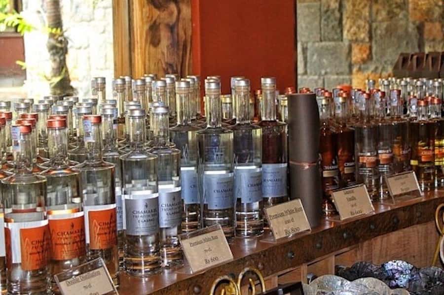 Explore the Southwest with Local Lunch & Rum Tasting - Grand Bassin Sacred Lake: Hindu Temples, Shiva Statue, and Monkey Spotting