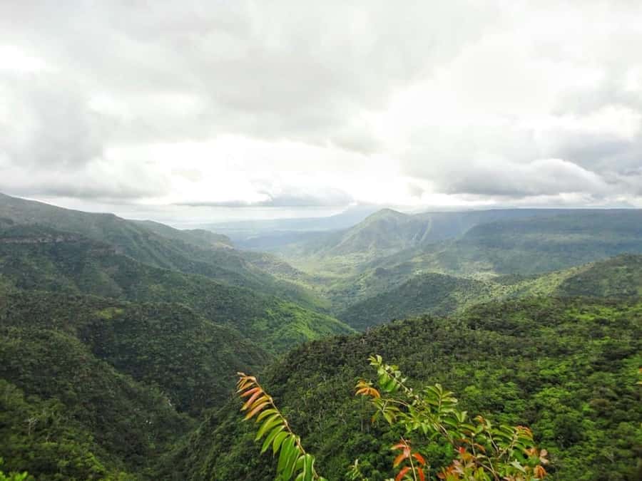 Explore the Southwest with Local Lunch & Rum Tasting - Rhumerie de Chamarel: Rum Tasting That Actually Explains the Process
