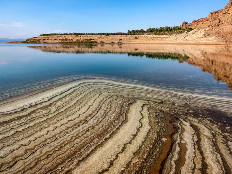 From Amman: 3-Day Jerash, Petra, Wadi-Rum and Dead Sea Tour - Who This Private Tour Suits Best