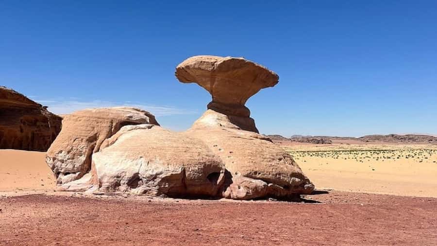 From Amman: Petra, Wadi Rum, and Dead Sea Private 2-Day Trip - Key highlights you’ll actually feel on this tour