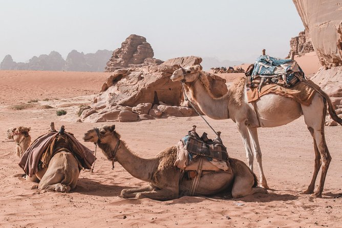 FROM AMMAN | Petra & Wadi Rum in one day | The Jordanian Mappers - Price and value: what $370 includes (and why it can be worth it)