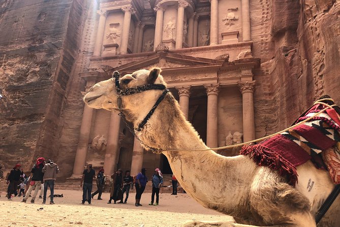 FROM AMMAN | Petra & Wadi Rum in one day | The Jordanian Mappers - Petra highlights with Sami: covering the Treasury and Royal Tombs, then roaming