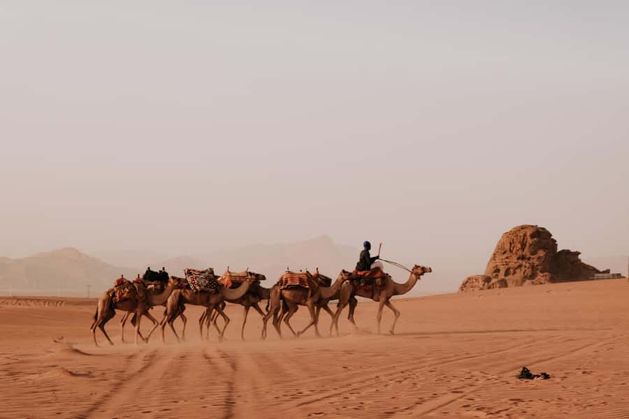 From Amman: Private or sharing Petra &Wadi Rum Full day Tour - Key highlights to look forward to