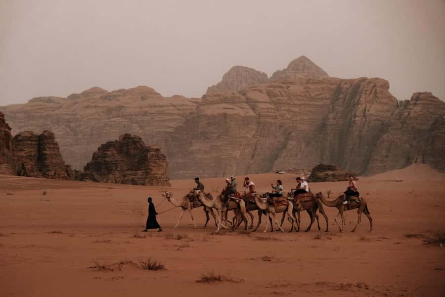 From Amman: Private or sharing Petra &Wadi Rum Full day Tour - Stargazing at Night: A Short Moment Worth Protecting