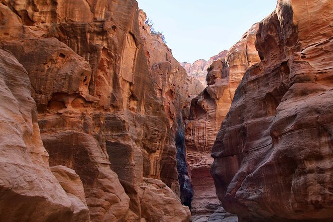 From Amman to Petra and Wadi rum ( Private two days) - Day 2 Wadi Rum: Morning Camp Time and a Jeep Tour