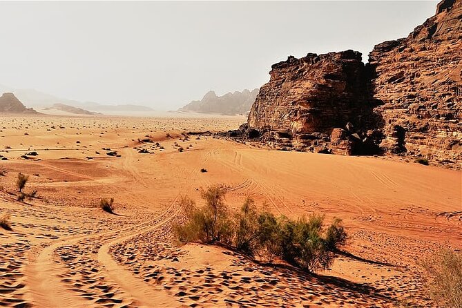 From Amman to Petra and Wadi rum ( Private two days) - Transportation and Comfort: Private Means Fewer Friction Points