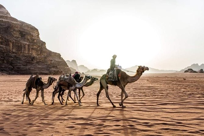 From Amman to Petra and Wadi rum ( Private two days) - Timing, Pace, and What You’ll Want to Plan Around