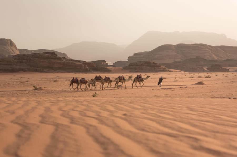 From Eilat, Jerusalem, Tel Aviv: Petra & Wadi Rum 3-Day Tour - From Israel to Aqaba: where the day really begins