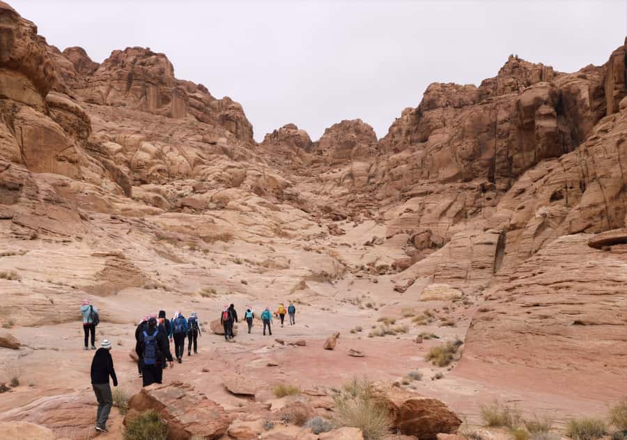 From Wadi Rum: 2-Day Hiking Adventure and Jeep Tour - Key Highlights Worth Planning Around