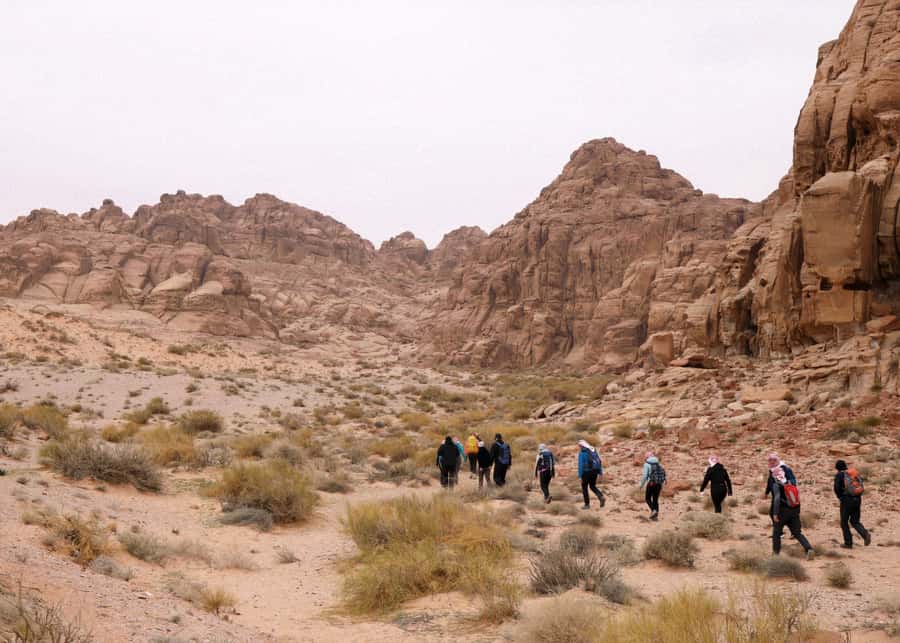 From Wadi Rum: 2-Day Hiking Adventure and Jeep Tour - Wadi Rum Two-Day Format: Jeep + Guided Hiking That Actually Works