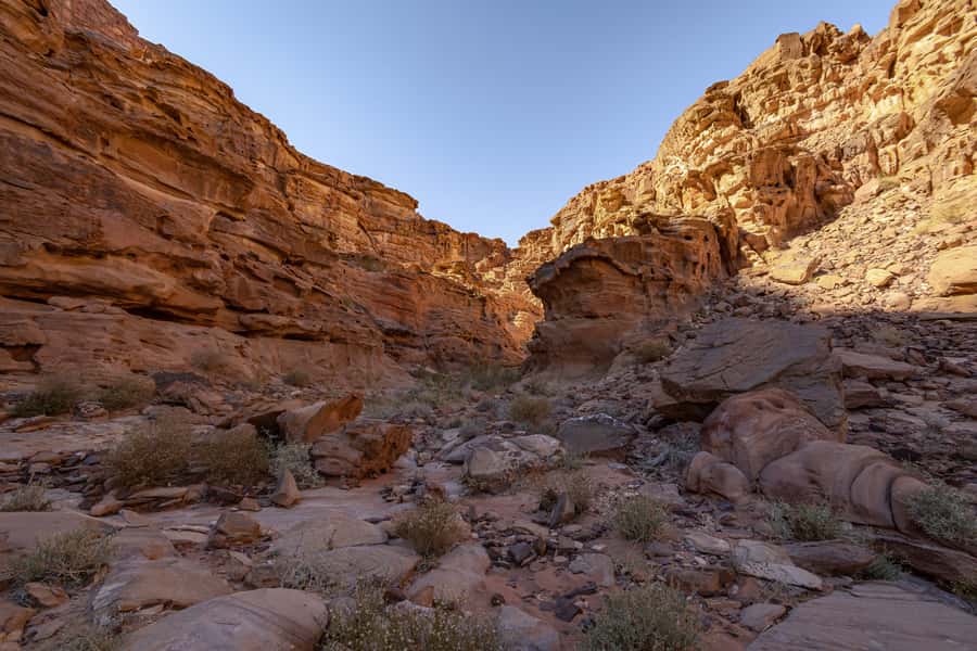 From Wadi Rum: 2-Day Hiking Adventure and Jeep Tour - The Red and White Desert, Rock Bridge, The Eyes, and Spring Stops