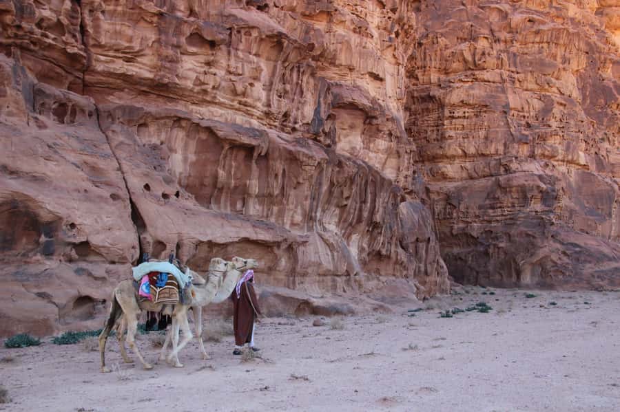 From Wadi Rum: Camel Ride Experience with Tea and Guide - Key Things I’d Bet You’ll Care About