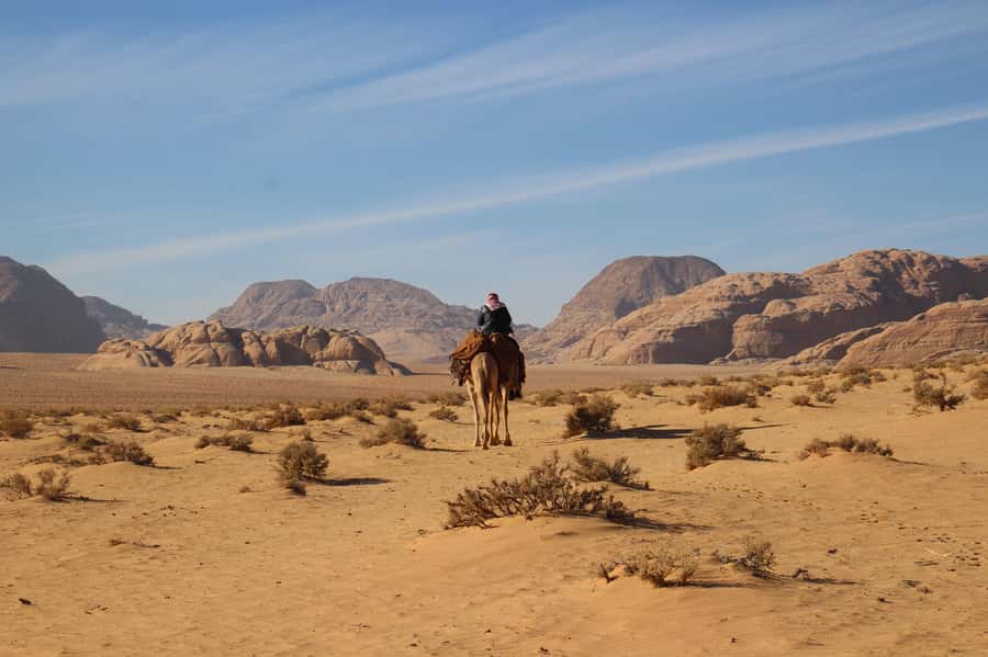From Wadi Rum: Camel Ride Experience with Tea and Guide - Price, What You Pay For, and the 5 JD Protected Area Fee