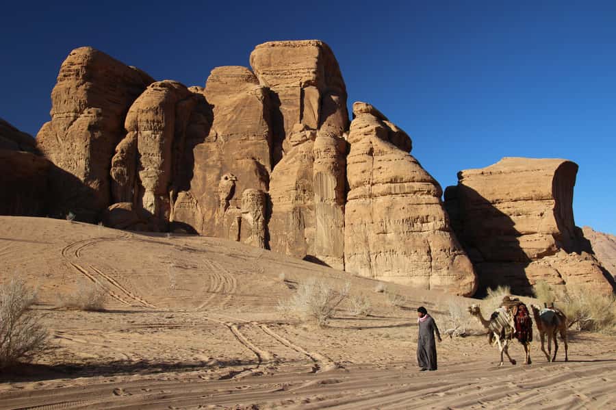 From Wadi Rum: Camel Ride Experience with Tea and Guide - Who This Wadi Rum Camel Ride Suits Best