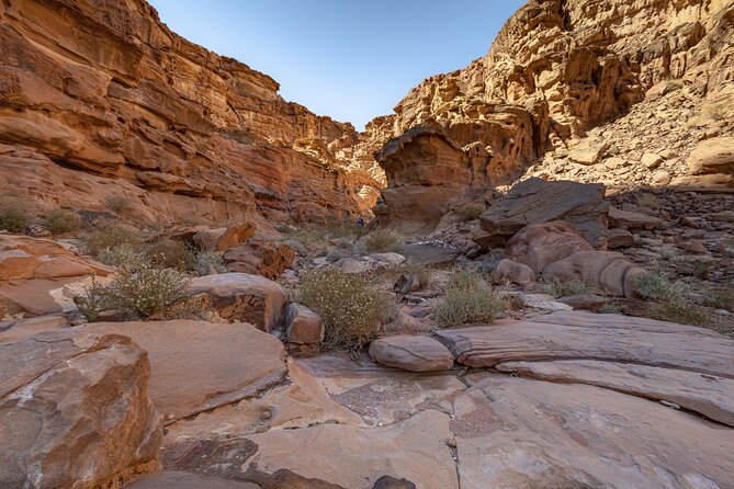 Full-Day 8 Hour Jeep Tour into Wadi Rum Protected Area with Stay - Should you book this tour?