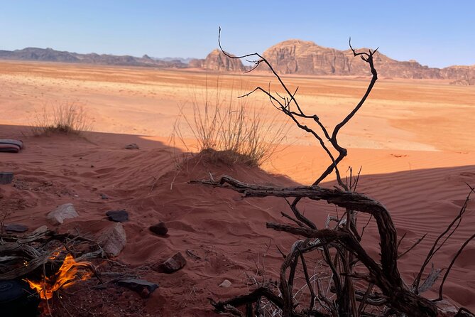 Full-Day Hiking in Wadi Rum's Desert with Lunch - The Desert Map Stop: Getting Your Bearings