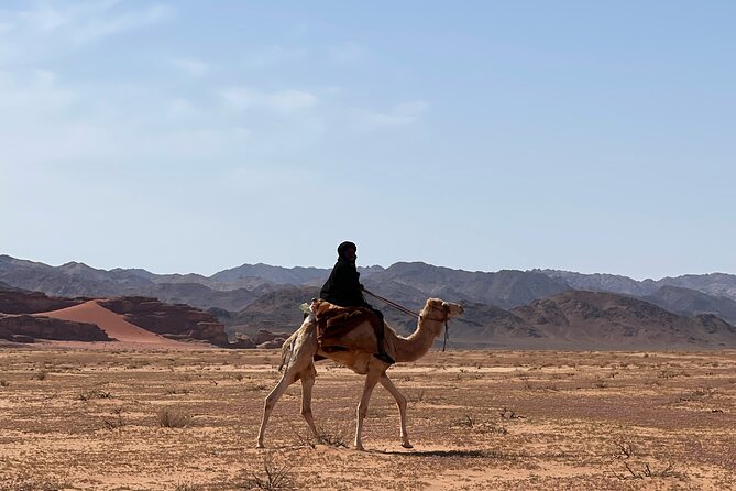 Full-Day Hiking in Wadi Rum's Desert with Lunch - The Little Bridge Finish: A Quiet Payoff