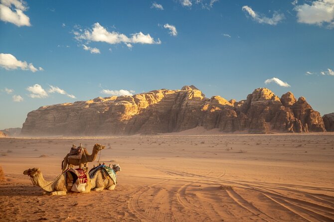 Full-Day Jeep Tour, Wadi Rum Desert Highlights - Abu Khashaba Canyon: figs, boulders, and a slower walk
