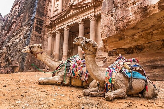 Full Day Petra and Wadi Rum Tour from Amman - Price and logistics: is $200 per person actually fair value?