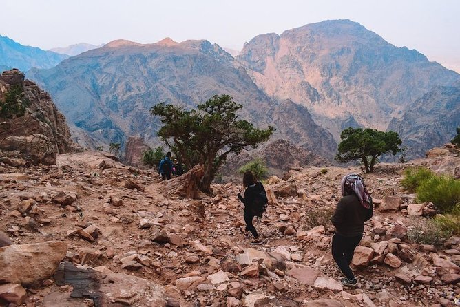 Full day Petra & Wadi Rum 01 hour stop in Dead Sea from Amman - Who should book this Petra and Wadi Rum full-day combo