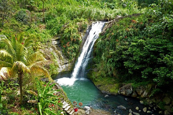 Full-Day Tour: Concord Waterfall, Chocolate Factory, Rum Distillery, Grand Etang - Key highlights that make this Grenada day feel worth it