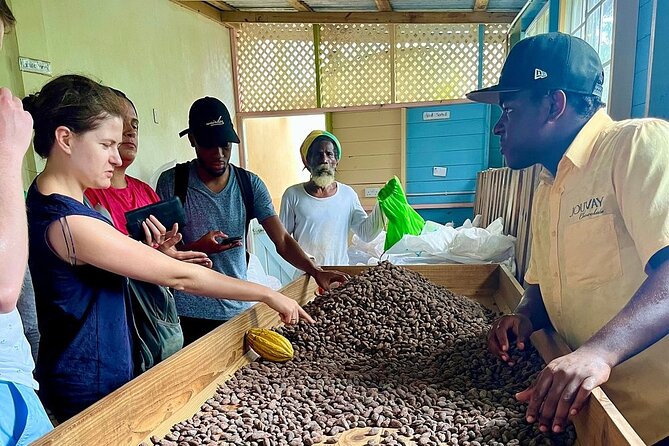 Full-Day Tour: Concord Waterfall, Chocolate Factory, Rum Distillery, Grand Etang - Sauteurs Bay lunch: authentic Grenadian food with sea views