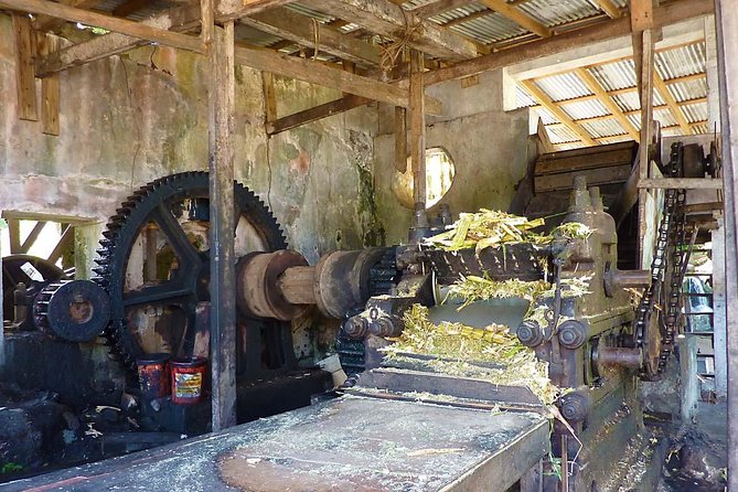 Full-Day Tour: Concord Waterfall, Chocolate Factory, Rum Distillery, Grand Etang - River Antoine Estate Rum Distillery: water-powered heritage plus samples