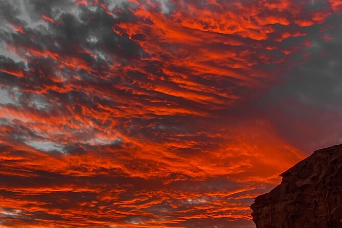 Full-Day Tour In Wadi Rum Desert - First Morning in Wadi Rum: 7:30 Pickup and How the Day Flows