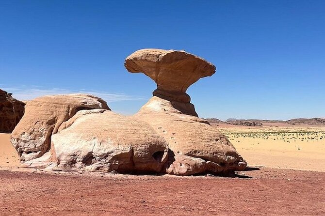 Full Day Tour Petra and Wadi Rum from Amman - The big idea: Petra highlights plus a Wadi Rum jeep safari