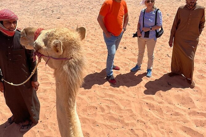 Full Day Tour Petra and Wadi Rum from Amman - The value math: what you get for the $100 price