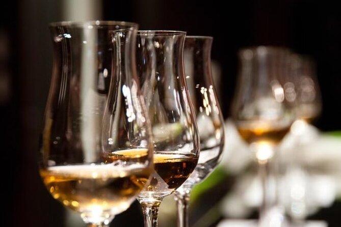 Gin & Rum Tasting in Frankfurt am Main - Small Drawbacks to Know Before You Go