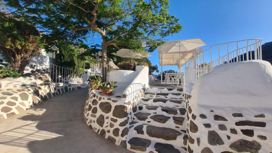 Gran Canaria: canarian rum & local cheese tasting tour - Canarian rum and cheese: why this tour feels different
