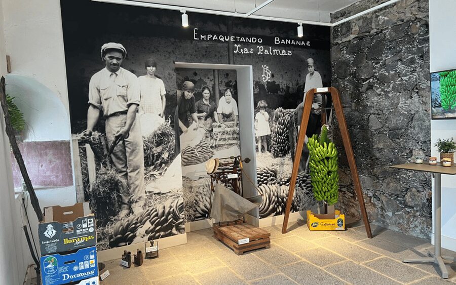 Gran Canaria: Rum, Wines and Banana Tour - Guides and the human factor: the names that kept showing up