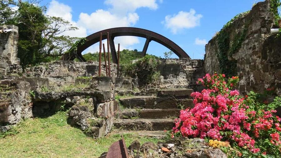 Grenada: Culture and Nature Island Tour with Chocolate & Rum - Annandale Waterfall: A Cool Swim Break in the Middle of the Day