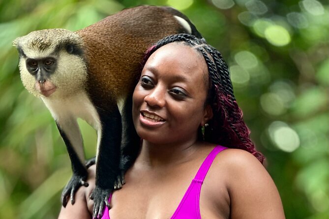 Grenada Day Tour-Concord Falls, Chocolate, Rum & Grand Etang Lake - Key Things to Know Before You Go